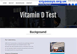 Vitamin D Test results